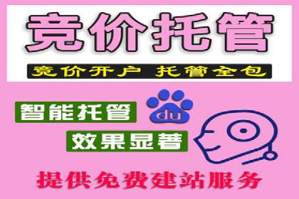 深度解析：sem代运营机构助力企业快速成长